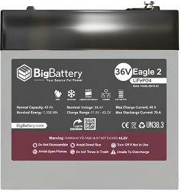 BigBattery 36V Eagle 2 Battery