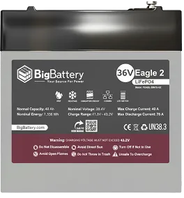 BigBattery 36V Eagle 2 Battery