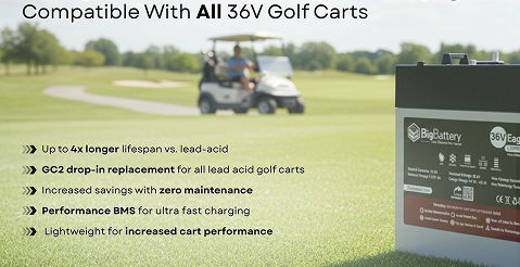 BigBattery 36V Eagle 2 Battery