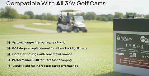 BigBattery 36V Eagle 2 Battery