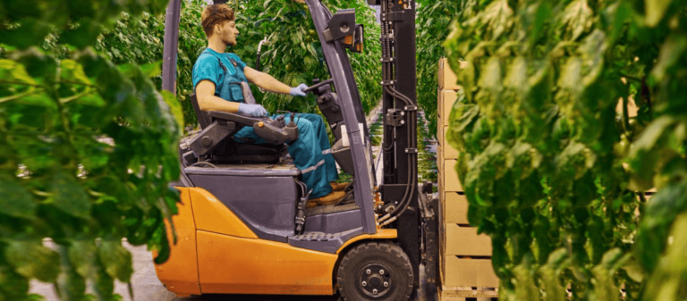 How Lithium-Ion Batteries Improve Forklift Efficiency